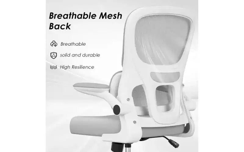 Double Mesh Ergonomic Office Chair with Flip-Up Armrests and Lumbar Support