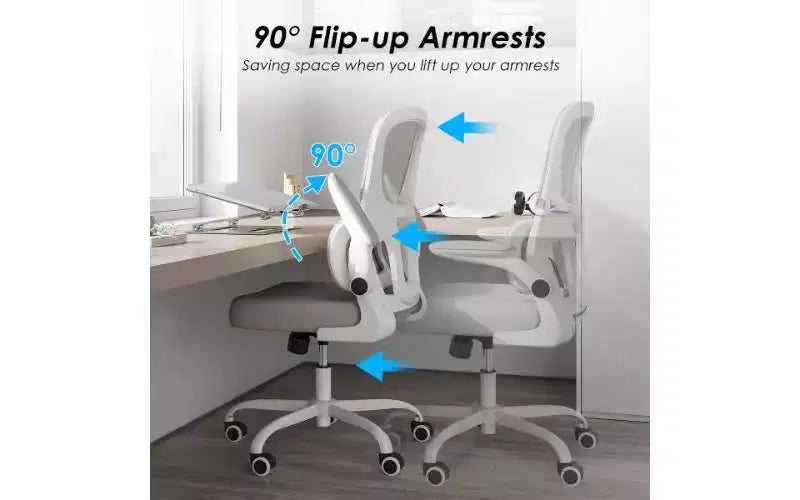 Double Mesh Ergonomic Office Chair with Flip-Up Armrests and Lumbar Support