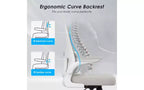 Double Mesh Ergonomic Office Chair with Flip-Up Armrests and Lumbar Support