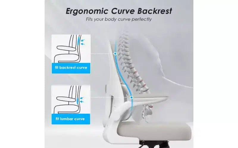 Double Mesh Ergonomic Office Chair with Flip-Up Armrests and Lumbar Support