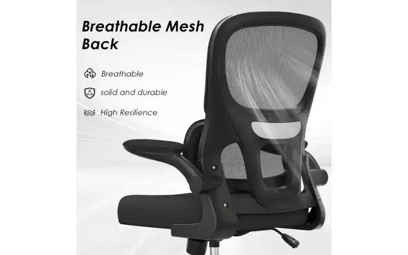 Double Mesh Ergonomic Office Chair with Flip-Up Armrests and Lumbar Support